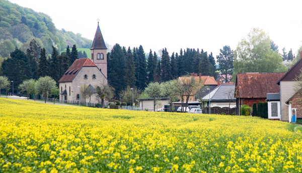 Spring Has Sprung—or Better Yet, It’s Spargelzeit!